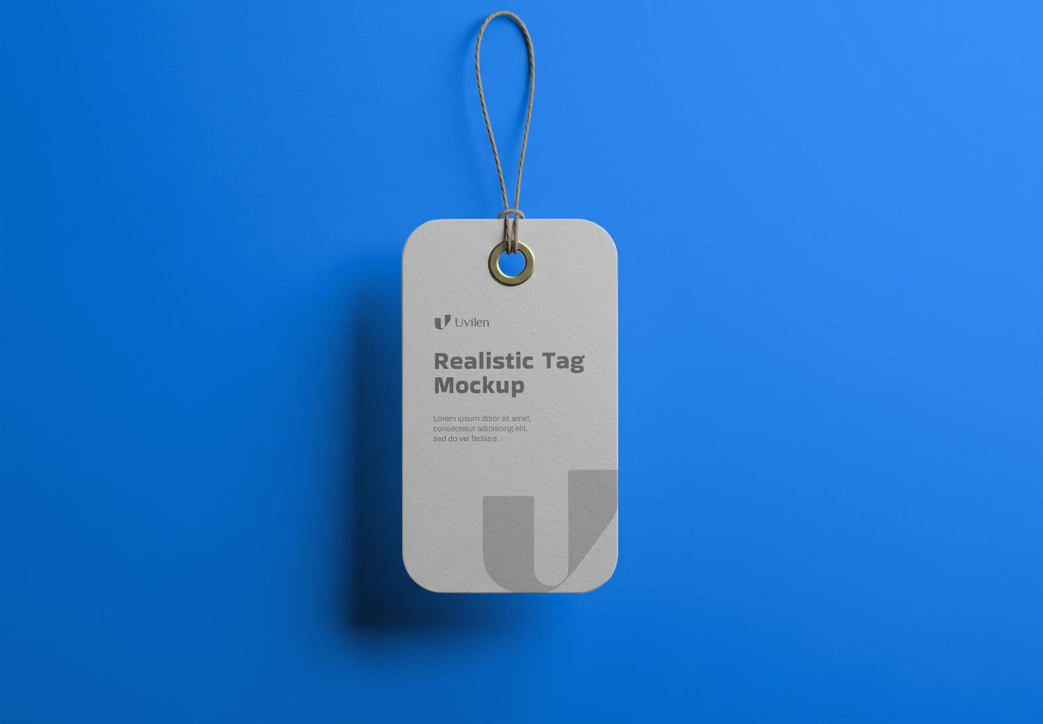 Realistic Hang Tag Mockup - High Quality Product Label Template
