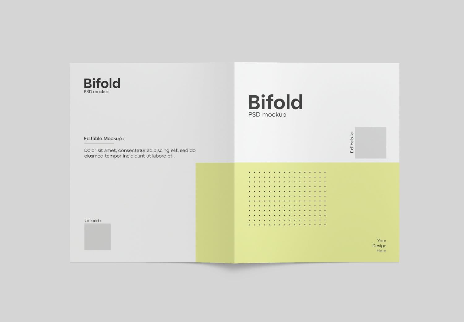 Minimalist Green & White Bifold Brochure Mockup
