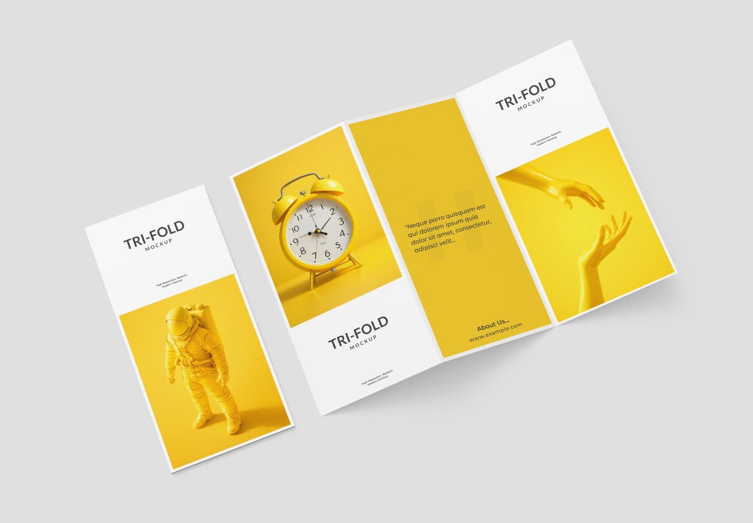 Creative Tri Fold Brochure Mockup Layout