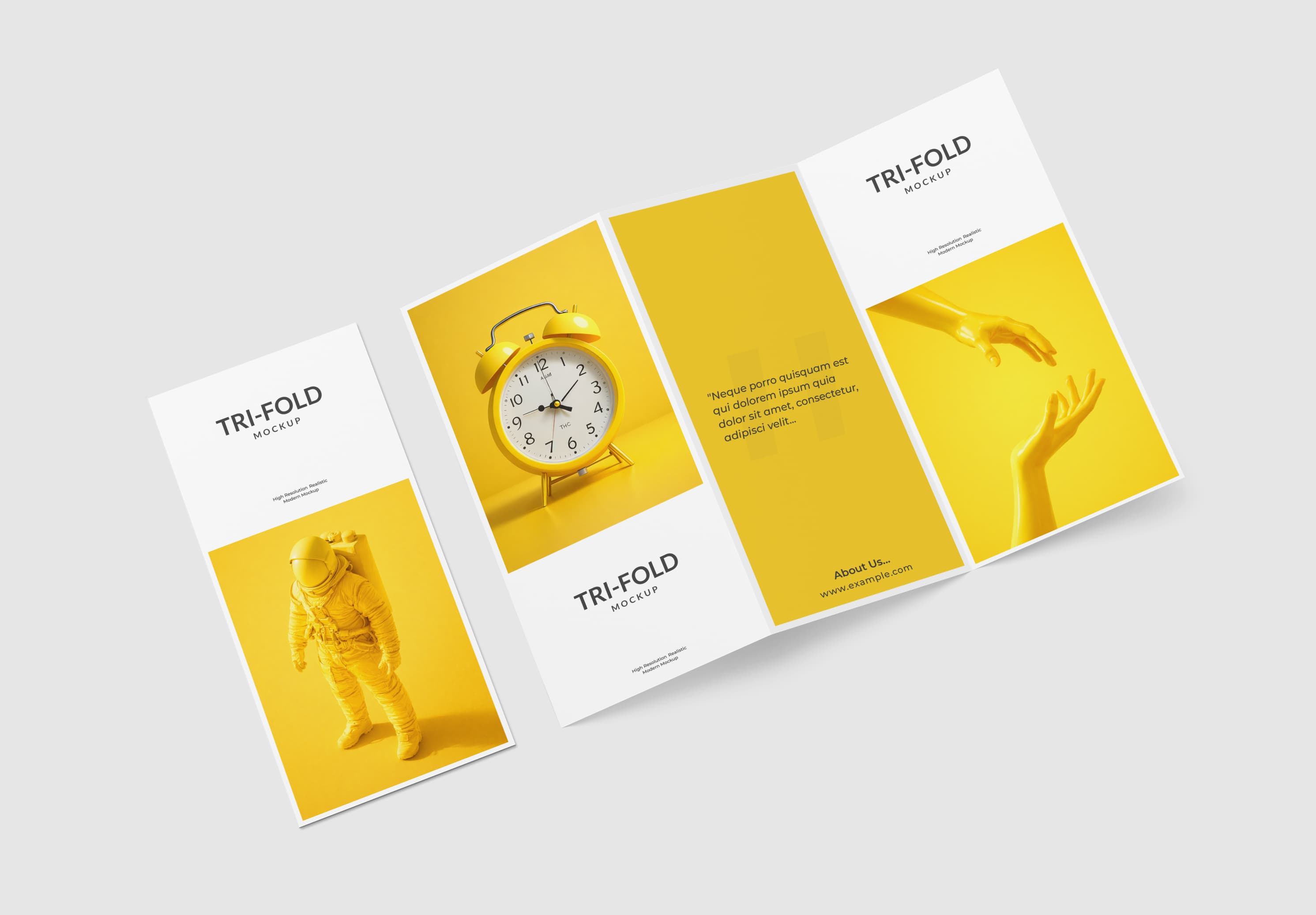 Creative Tri Fold Brochure Mockup Layout