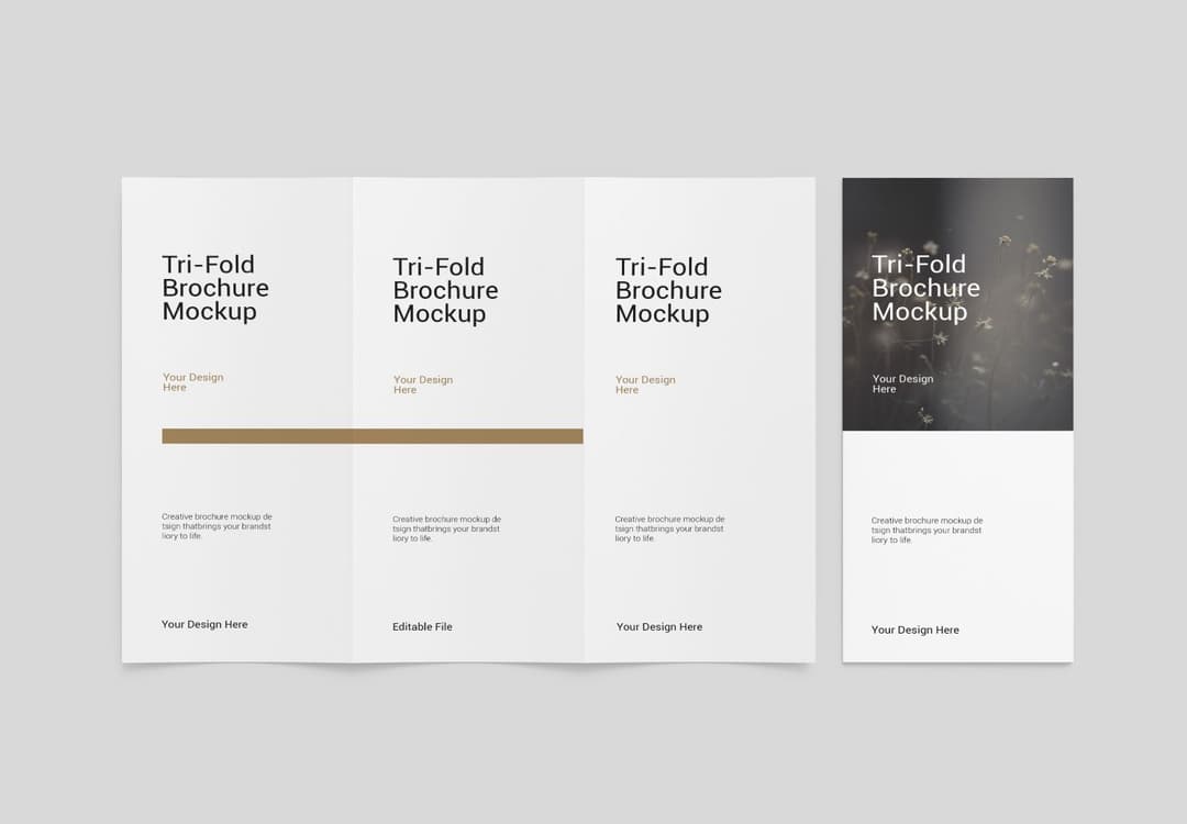 Tri-Fold Brochure Mockup Open Closed View | MockupHive